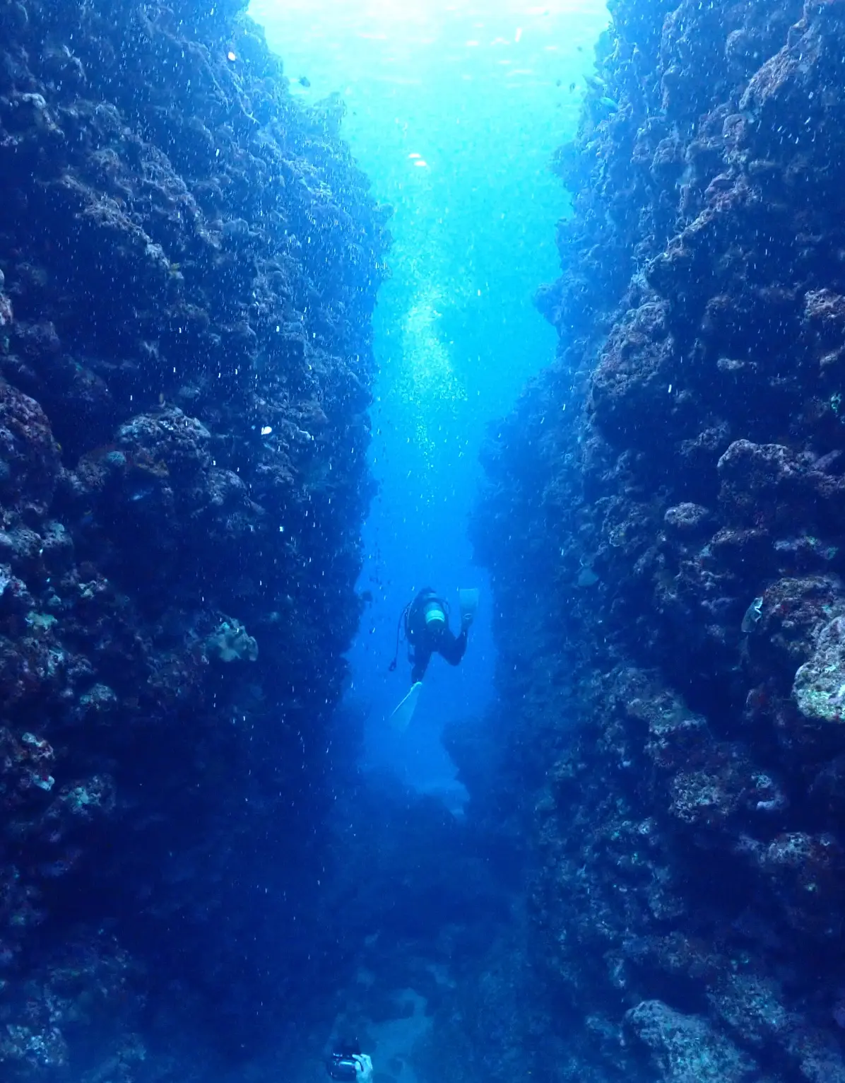 ダイビング講習の様子