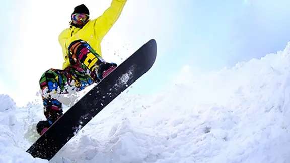 ダイビングの様子