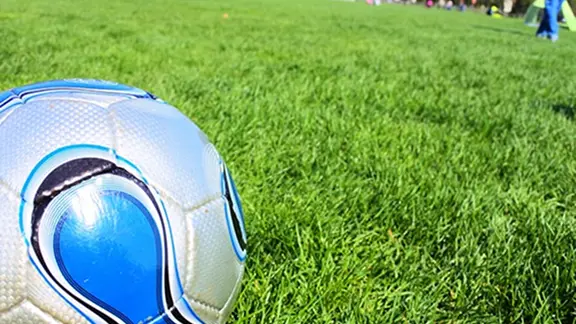 ダイビングの様子