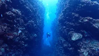 【2/11開催】大人の本気遊び！「ロゲイニング」で房総半島を攻略せよ！〜Juaカップ開幕〜