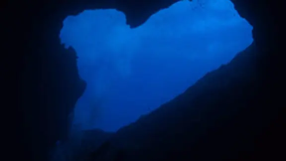 ダイビングの様子