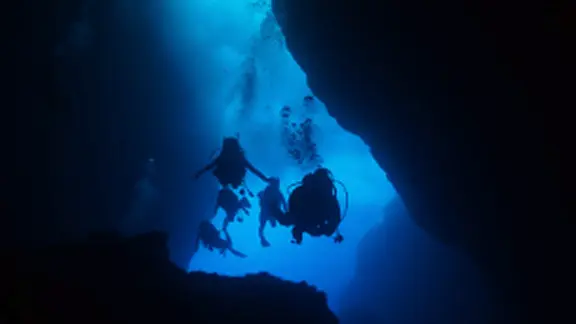 ダイビングの様子