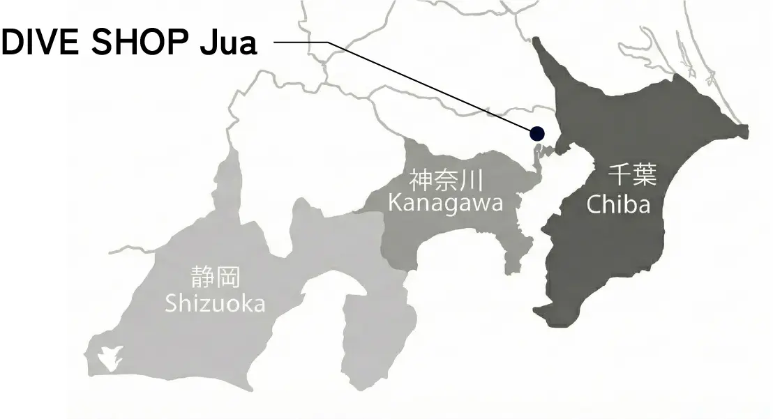 集合・移動の様子