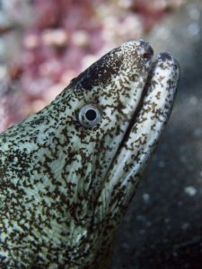 当たり前って素晴らしい