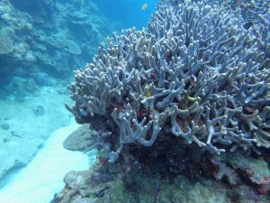 遊びに来てくれましたー