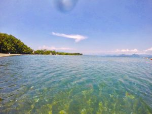 夏やってきました！！