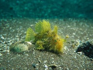 伊豆は結構晴れ