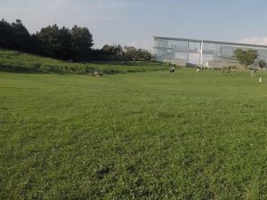 10/13(fri) いい汗流そうフットサル