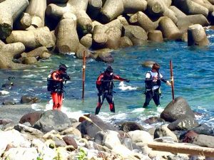 野生の馬はいない！？