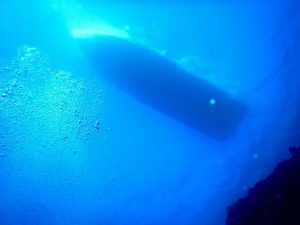 ★４月　和歌山ダイビングツアー