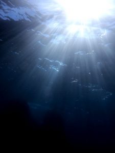 ★１１月　Jua 伊豆大島ツアー