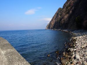 この時期が好き☀️