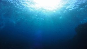 ★5月　GW　和歌山白浜遠征ツアー