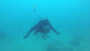 今後のダイビングが変わる予感、、、しかしない！