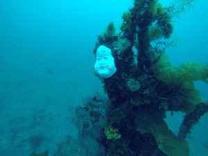 えっ、、、ホラー、、、