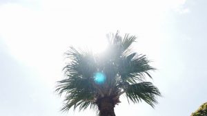 グッロケーション