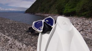 まったりダイブ