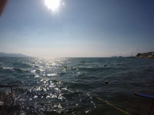 レスキュー！！