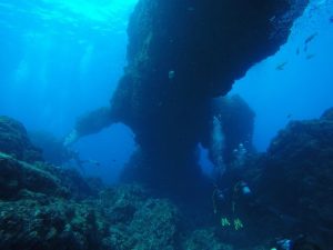 ★３月　八丈島ダイビングツアー