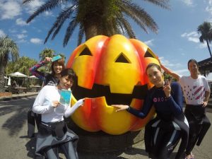 一年越しのカボチャ