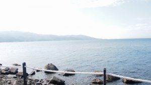 気付けばハーレム！！