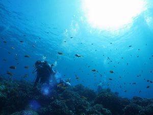 ★１２月　Jua 年末沖縄ダイビングツアー