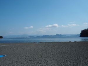 春来てます！！