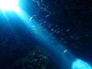 ★７月　沖縄宮古島ツアー