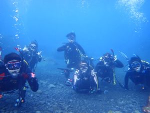 三宅島イルカツアーPart2！！！