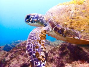 奇跡的遭遇！！！