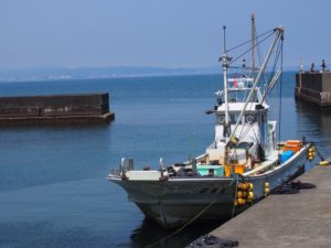 勝手にフォトコンテスト！ in 江ノ浦