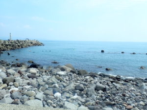 どーもカレー部です