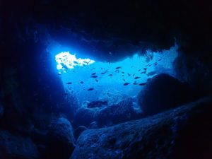 洞窟はアドベンチャー