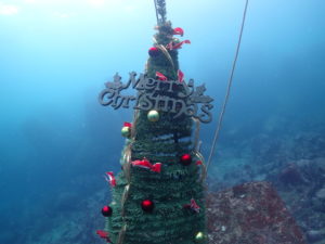 Ｔｅａｍ　ブルー