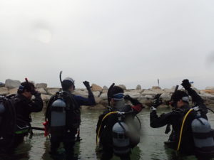 レスキュー！！！