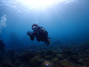 まだまだ綺麗！！