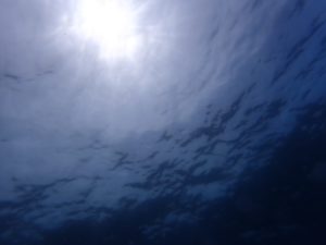 おめでとうございます㊗️