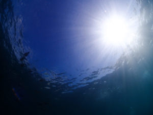 １日まったり過ぎる