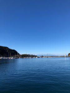 やっぱりボートは良き