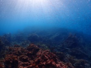 キラキラがすごい