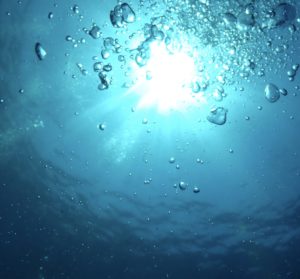 最高の日曜日！