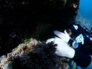 新ポイント！！