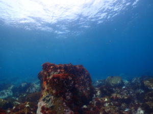 真剣な姿はかっこいい