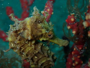 伸びしろですね