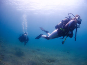 平日ダイビングでのんびり