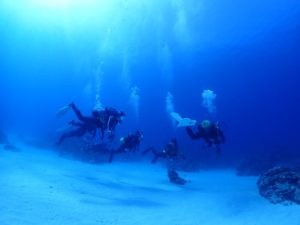 ぜひ行って欲しい！！