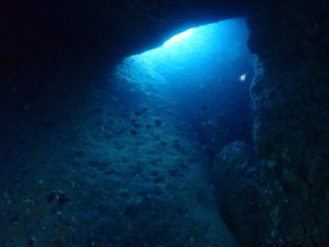 冒険の始まり～