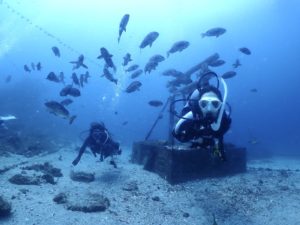 たまには千葉へ