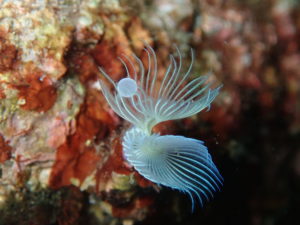 知らない事ばかり