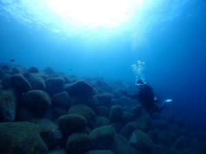 やさしさに包まれたなら